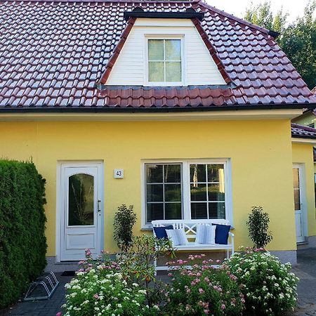 Am Deich 43 Villa Zingst Kültér fotó
